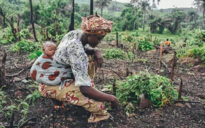 Nourrir le monde, nourrir l’Afrique : les luttes paysannes ouest-africaines mises en perspective